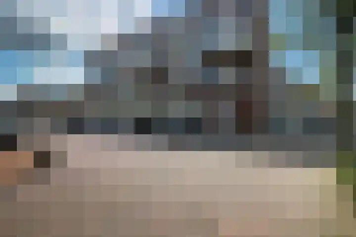 Lepelaar 5 Oud-Beijerland thumbnail 26