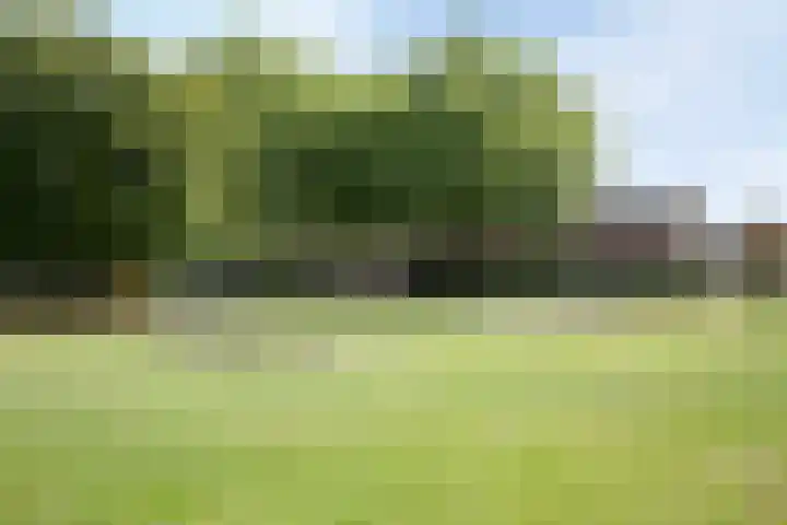 Lepelaar 5 Oud-Beijerland thumbnail 27