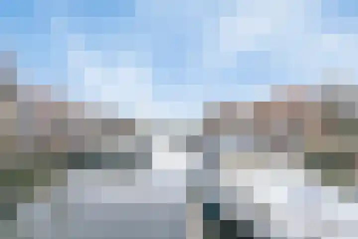 Lepelaar 5 Oud-Beijerland thumbnail 28