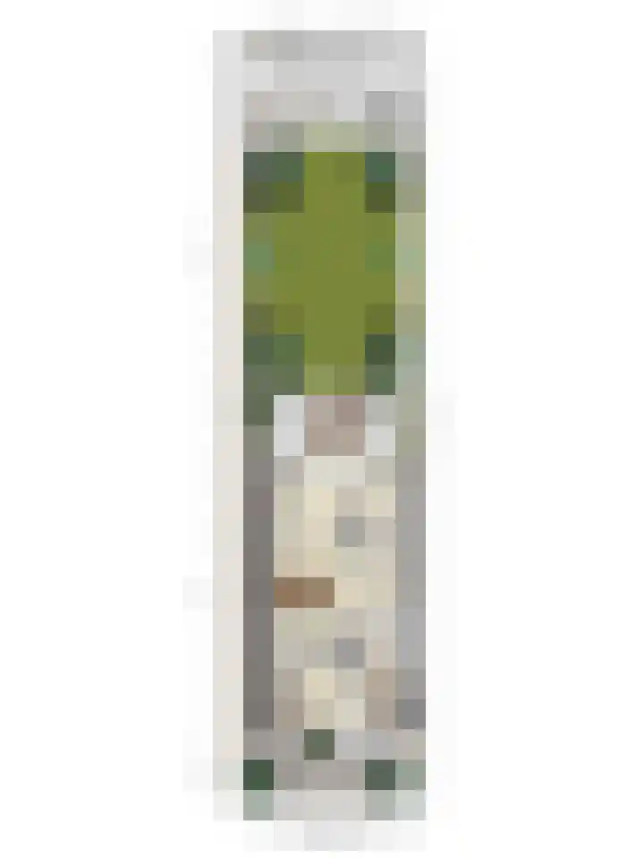 Lepelaar 5 Oud-Beijerland thumbnail 33