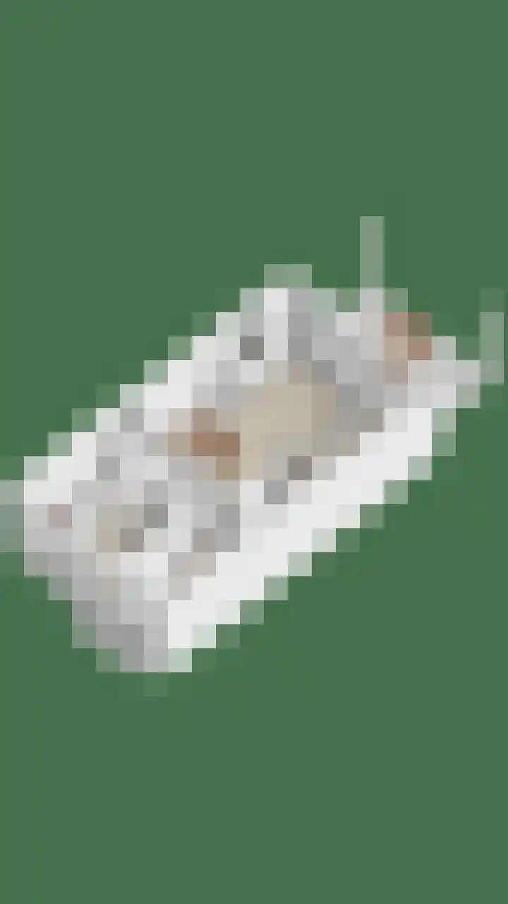 Lepelaar 5 Oud-Beijerland thumbnail 34