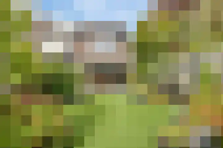 Lepelaar 5 Oud-Beijerland thumbnail 4