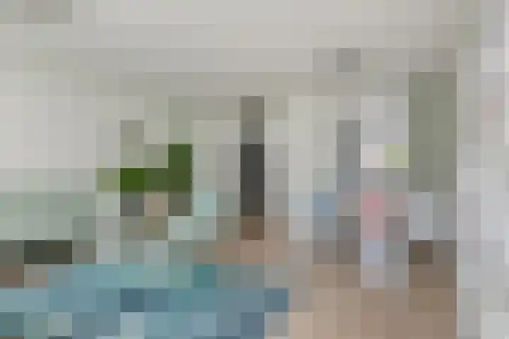 Lepelaar 5 Oud-Beijerland thumbnail 7