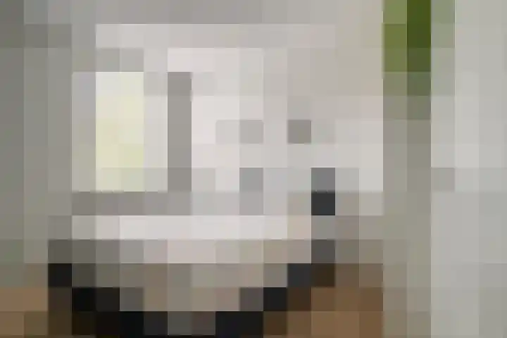 Lepelaar 5 Oud-Beijerland thumbnail 9