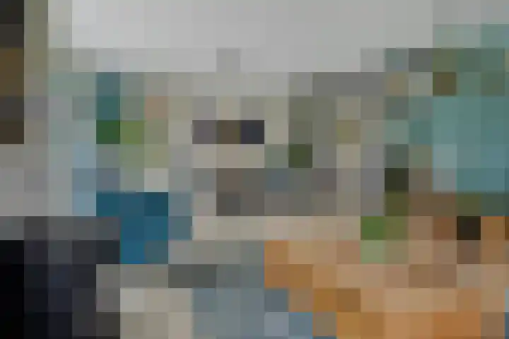 Lepelaar 58 Meppel thumbnail 10