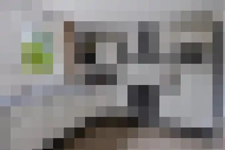 Lepelaar 58 Meppel thumbnail 16