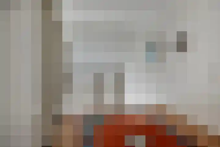 Lepelaar 58 Meppel thumbnail 28