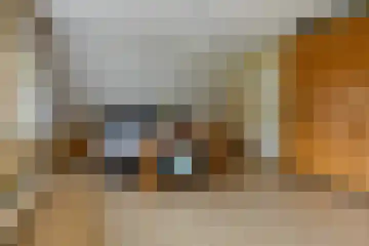 Lepelaar 58 Meppel thumbnail 30