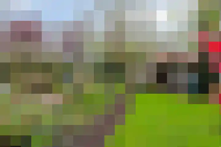Lepelaar 58 Meppel thumbnail 36
