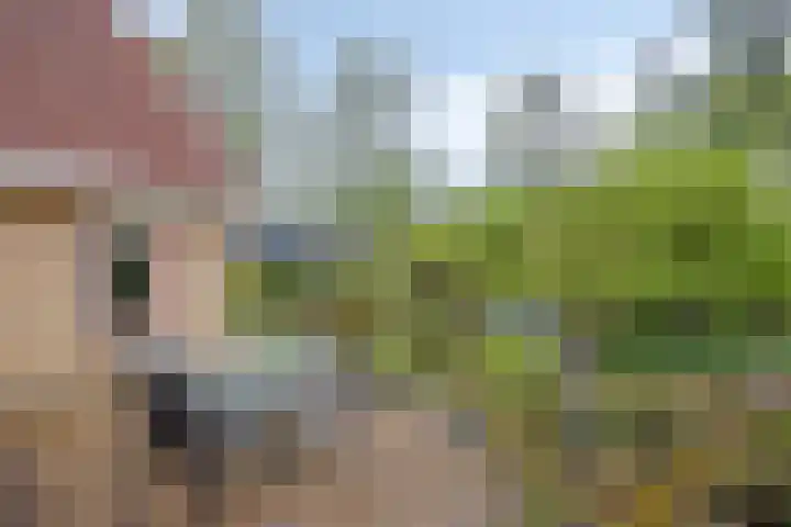 Lepelaar 58 Meppel thumbnail 37