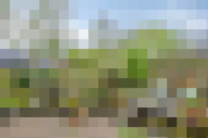 Lepelaar 58 Meppel thumbnail 38