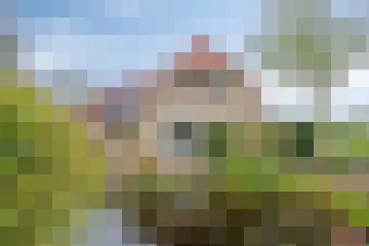 Lepelaar 58 Meppel thumbnail 39