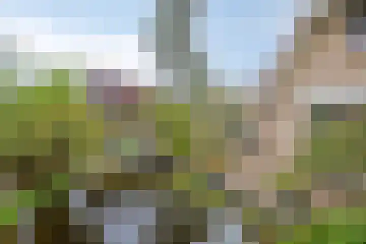 Lepelaar 58 Meppel thumbnail 40