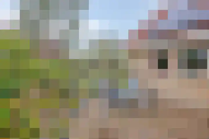 Lepelaar 58 Meppel thumbnail 41