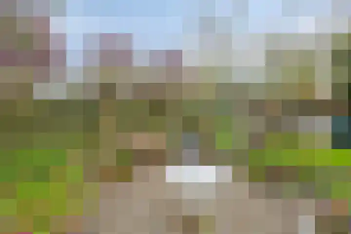 Lepelaar 58 Meppel thumbnail 42