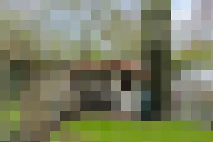 Lepelaar 58 Meppel thumbnail 43