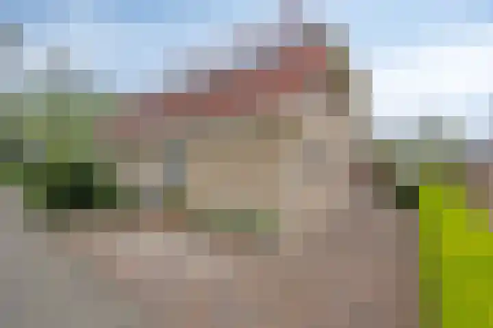 Lepelaar 58 Meppel thumbnail 47
