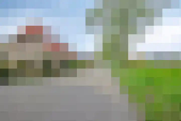 Lepelaar 58 Meppel thumbnail 48