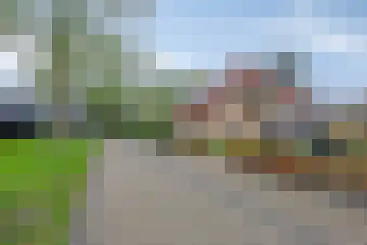 Lepelaar 58 Meppel thumbnail 49