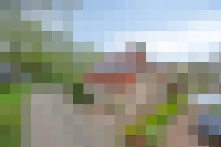 Lepelaar 58 Meppel thumbnail 50