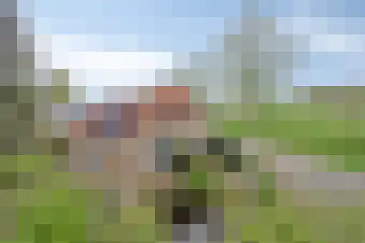 Lepelaar 58 Meppel thumbnail 51