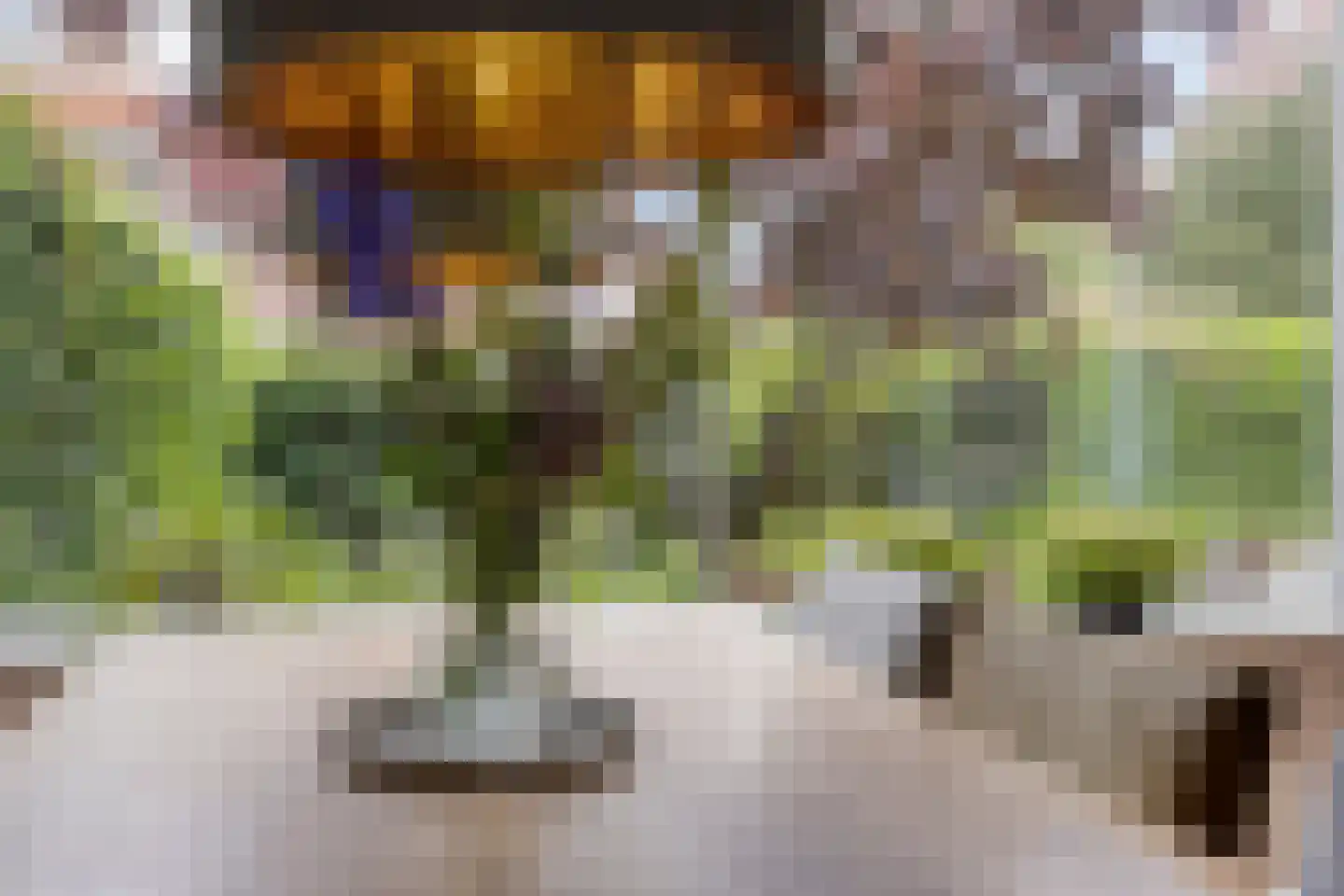 Lepelaar 65 Groningen thumbnail 15