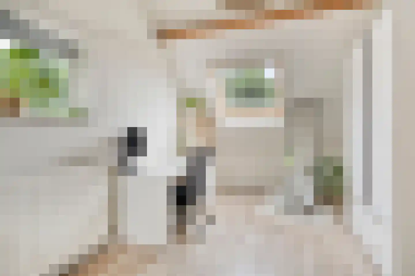 Lepelaar 65 Groningen thumbnail 30