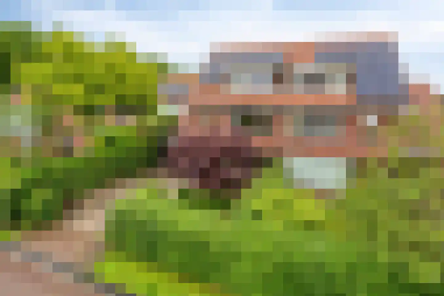 Lepelaar 65 Groningen thumbnail 39