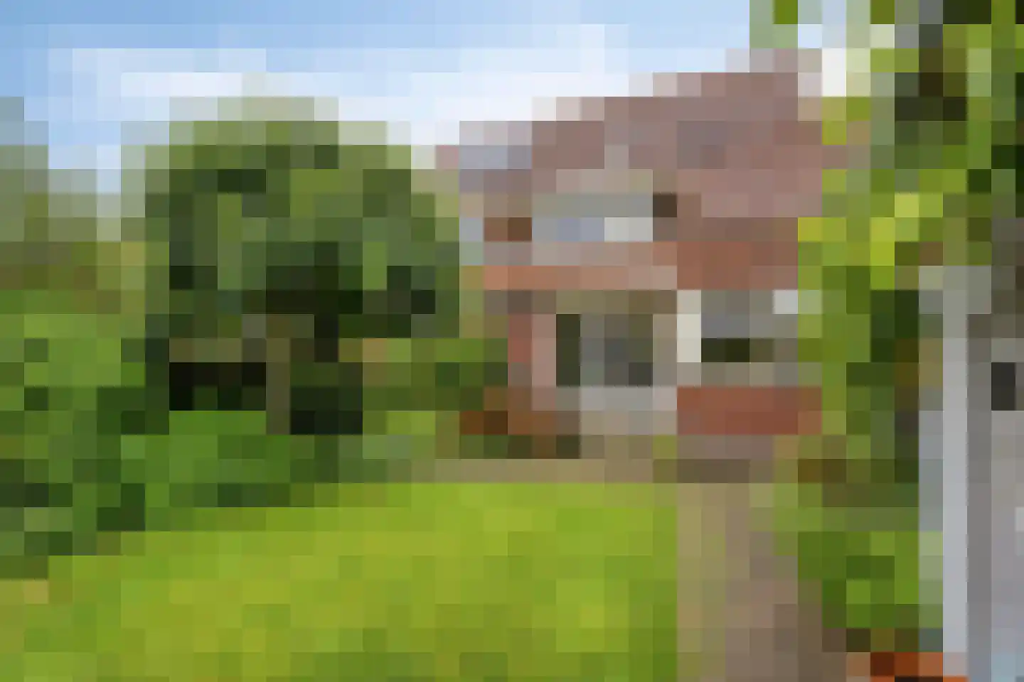 Lepelaar 65 Groningen thumbnail 4