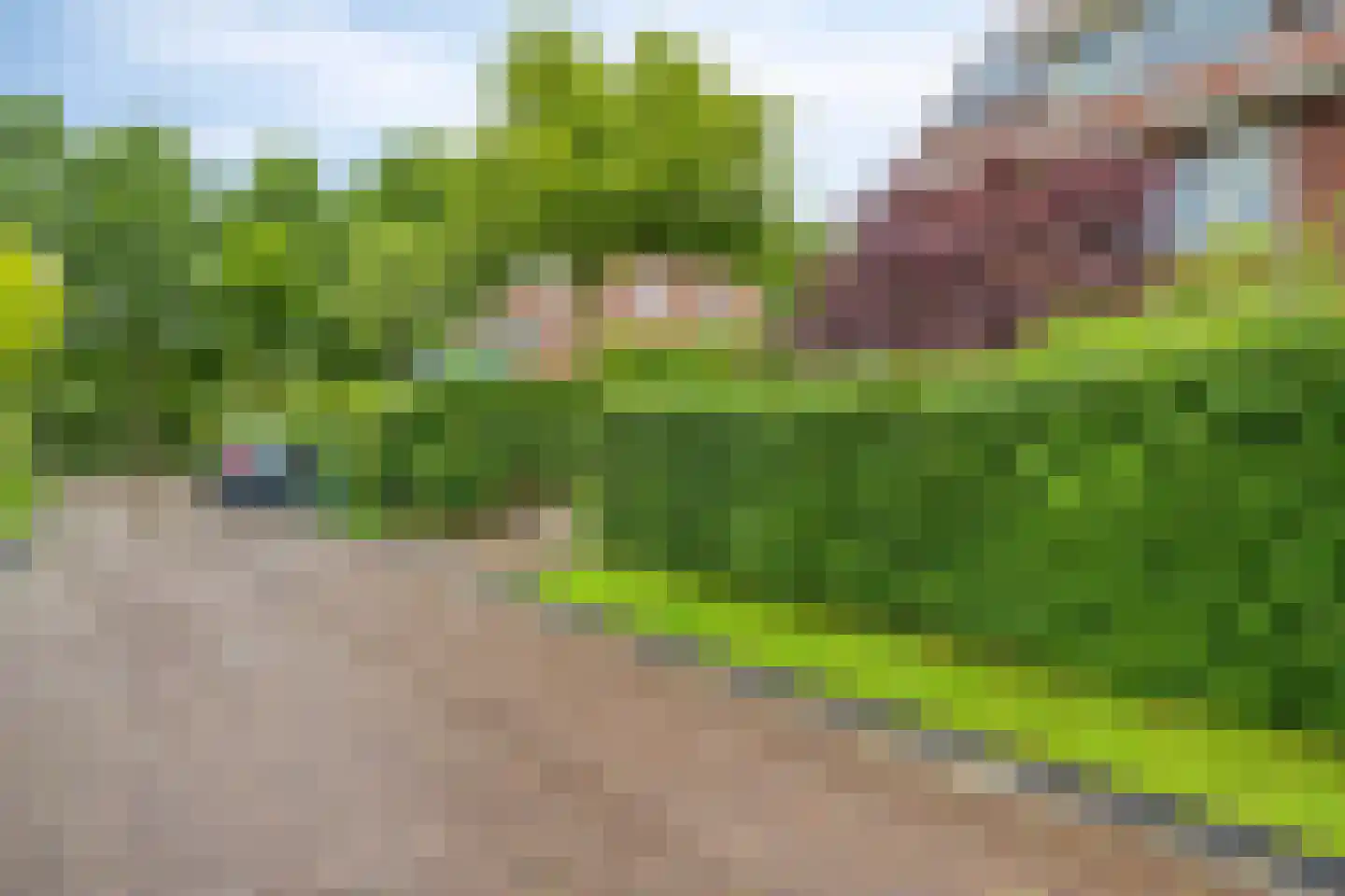 Lepelaar 65 Groningen thumbnail 46