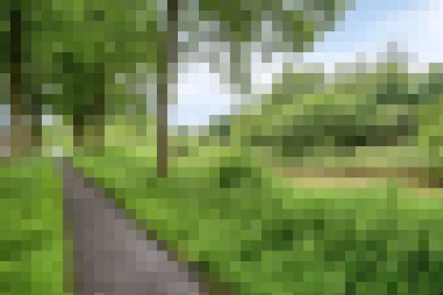 Lepelaar 65 Groningen thumbnail 47