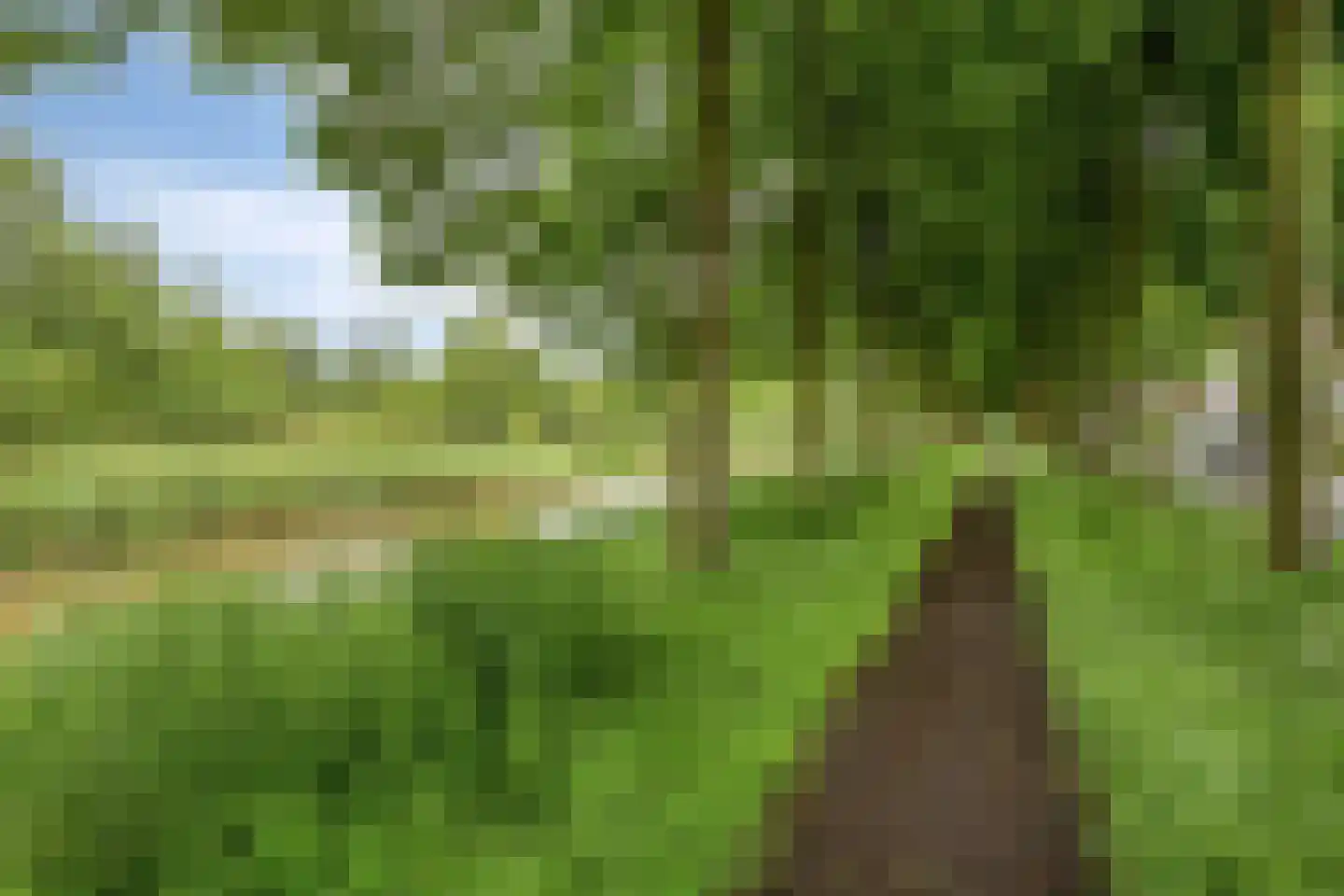 Lepelaar 65 Groningen thumbnail 48
