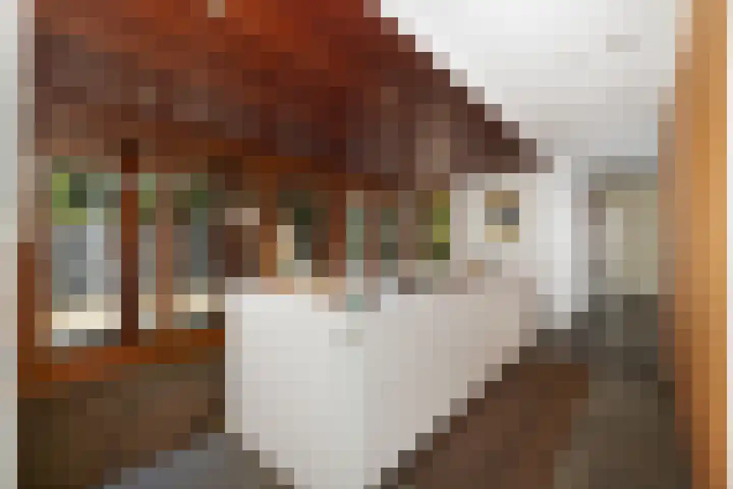 Lepelaar 8 's-Hertogenbosch thumbnail 10