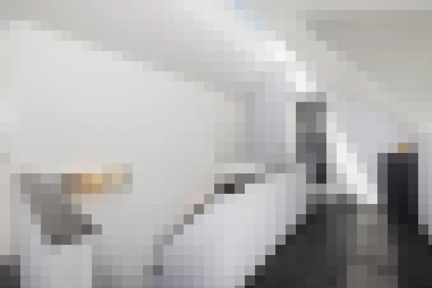 Lepelaar 8 's-Hertogenbosch thumbnail 34
