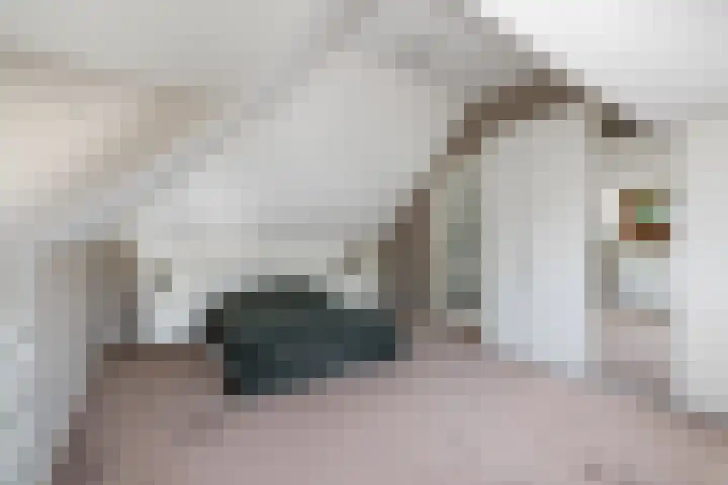 Lepelaar 8 's-Hertogenbosch thumbnail 35