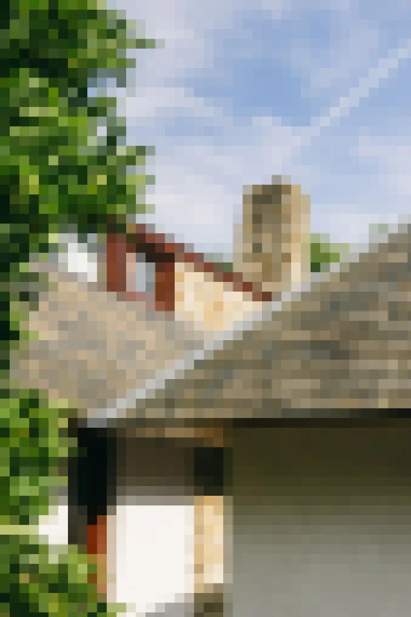 Lepelaar 8 's-Hertogenbosch thumbnail 36