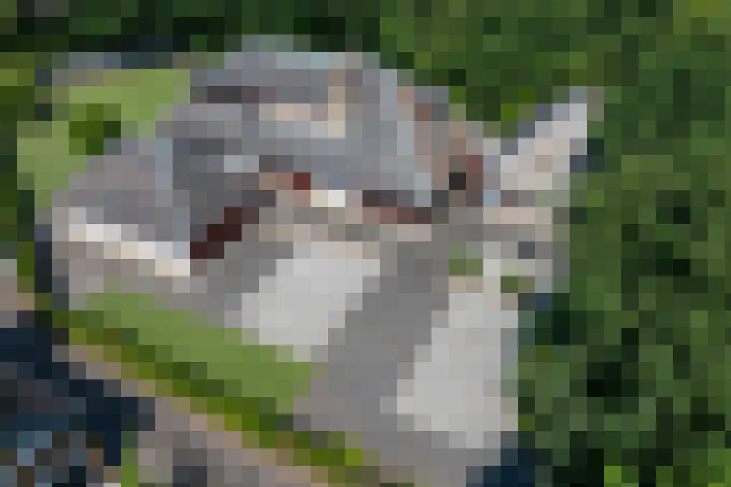 Lepelaar 8 's-Hertogenbosch thumbnail 5