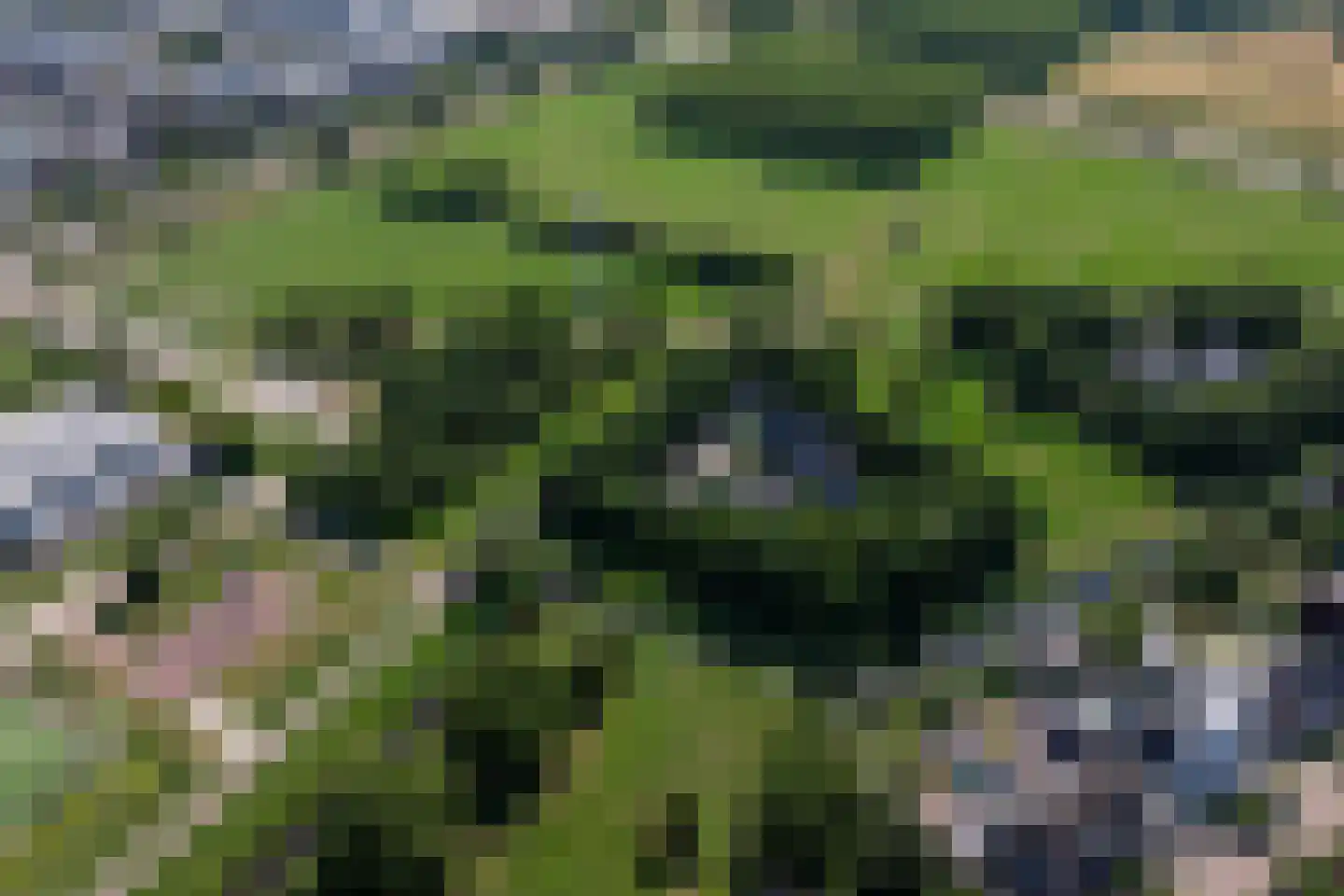 Lepelaar 8 's-Hertogenbosch thumbnail 50