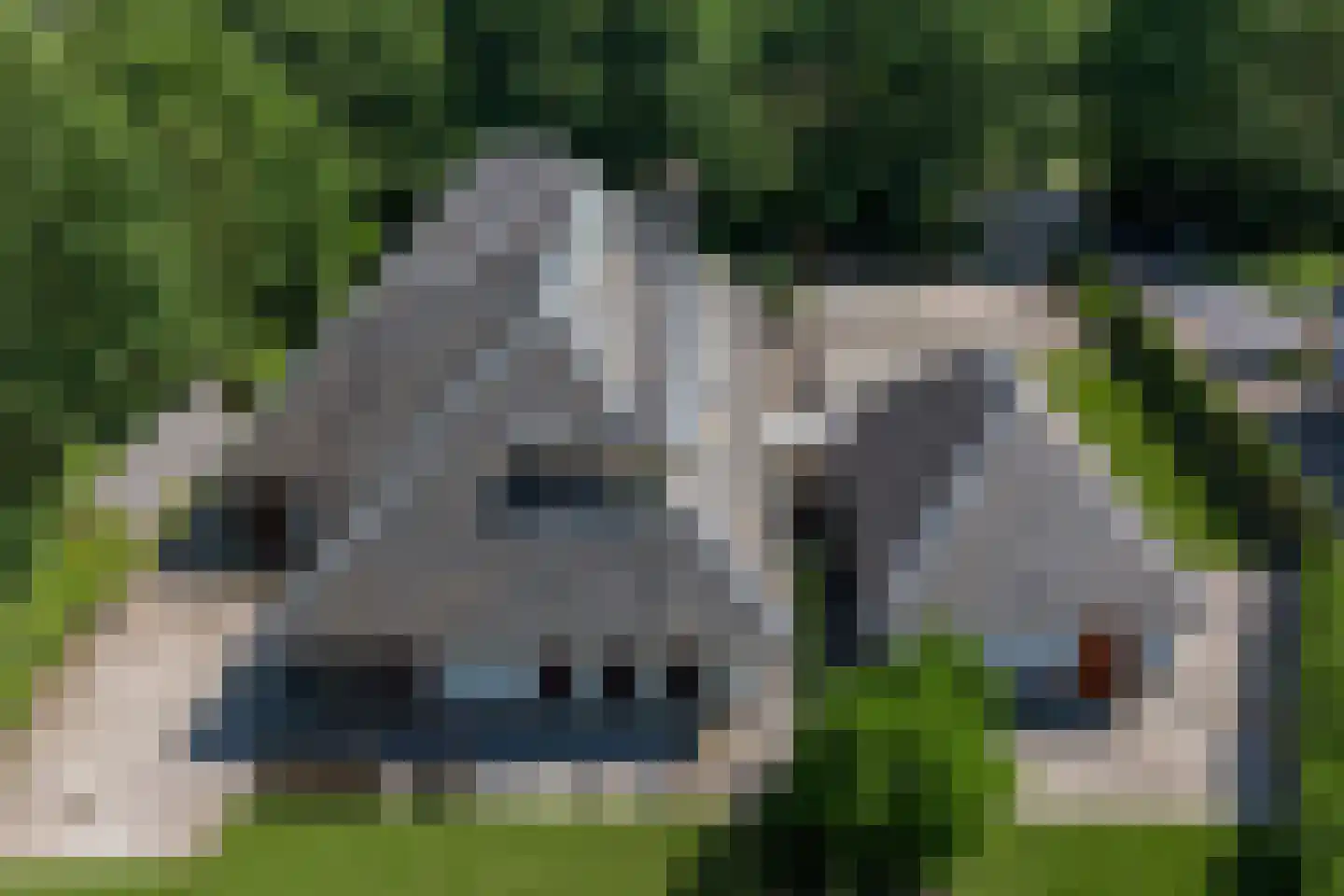 Lepelaar 8 's-Hertogenbosch thumbnail 52