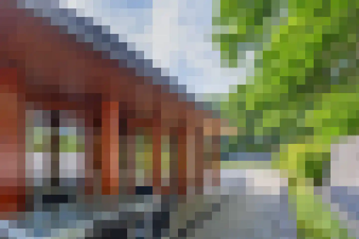 Lepelaar 8 's-Hertogenbosch thumbnail 6