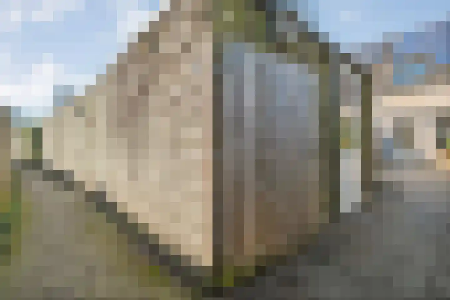 Lepelaar 83 Meppel thumbnail 32