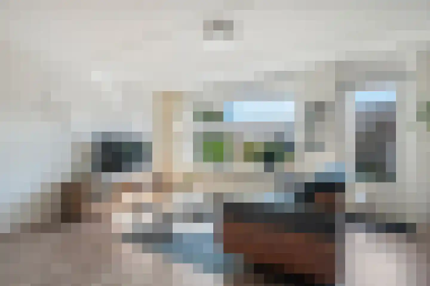 Lepelaar 83 Meppel thumbnail 5