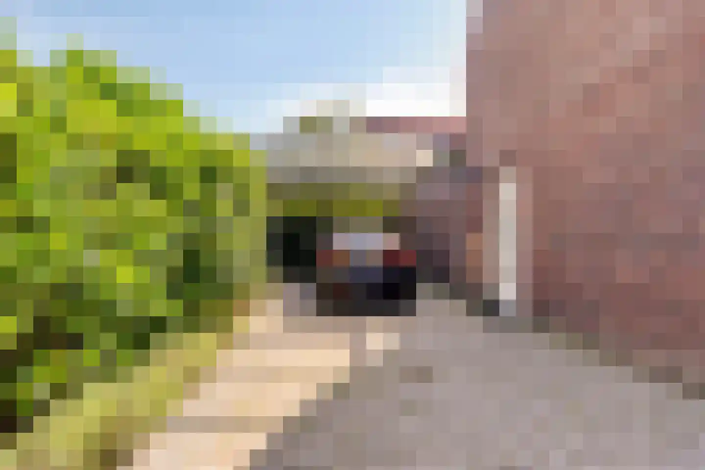 Lepelaar 91 Groningen thumbnail 10