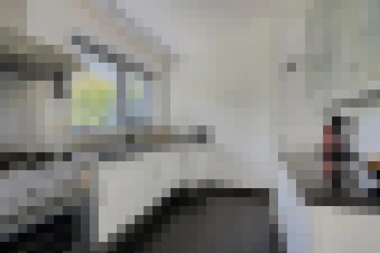 Lepelaar 91 Groningen thumbnail 21
