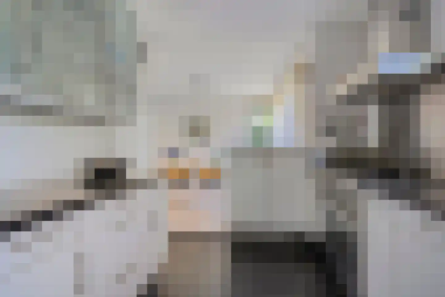 Lepelaar 91 Groningen thumbnail 22