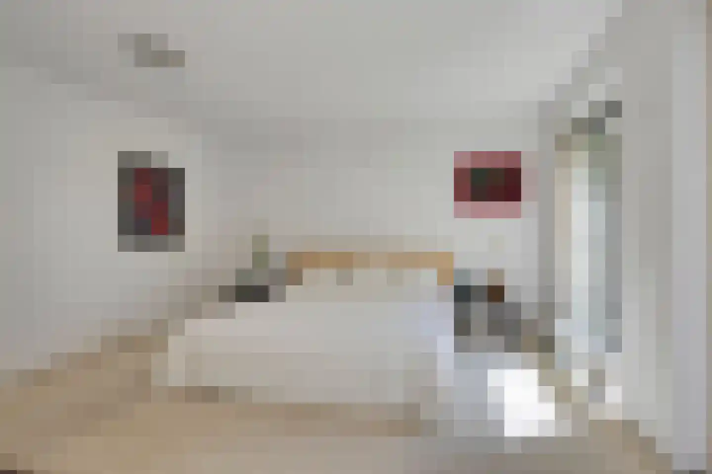 Lepelaar 91 Groningen thumbnail 23