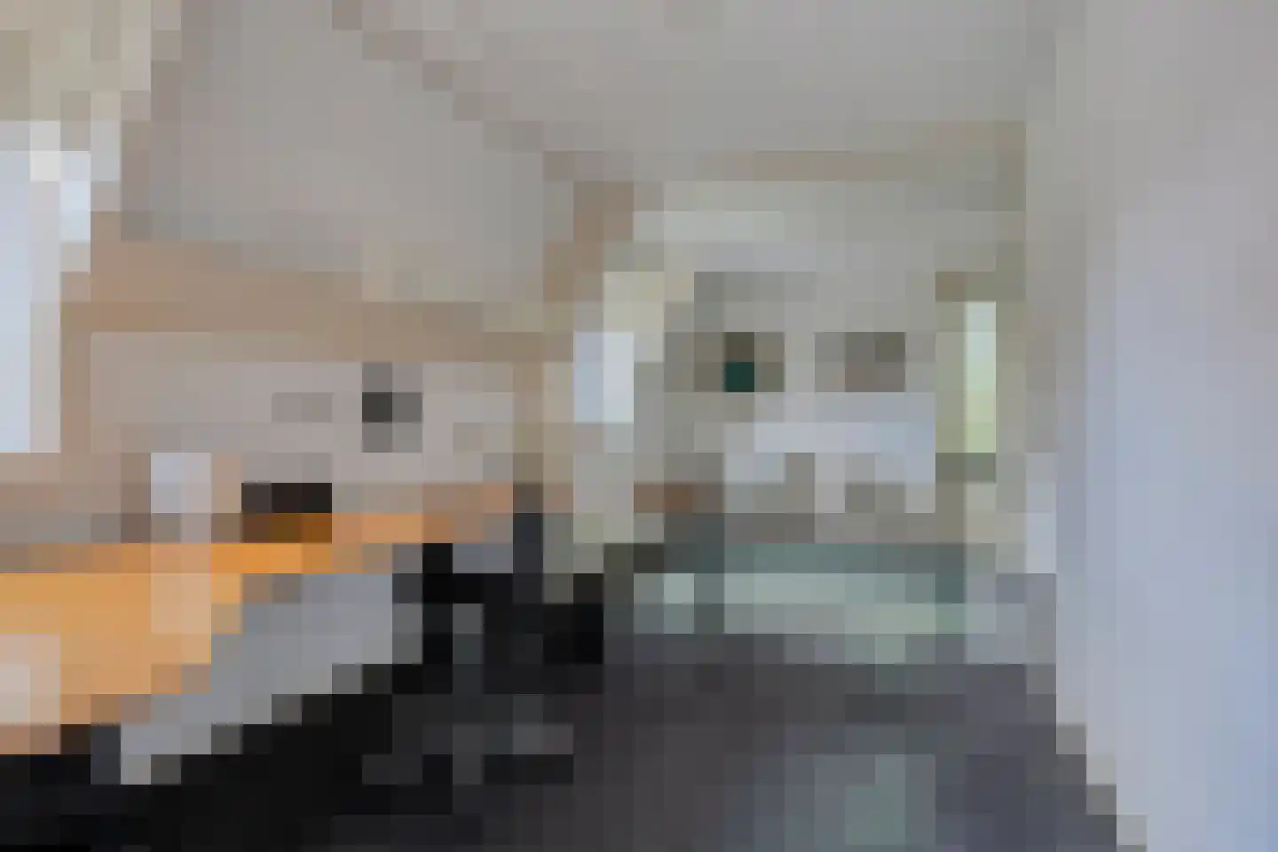 Lepelaar 91 Groningen thumbnail 35