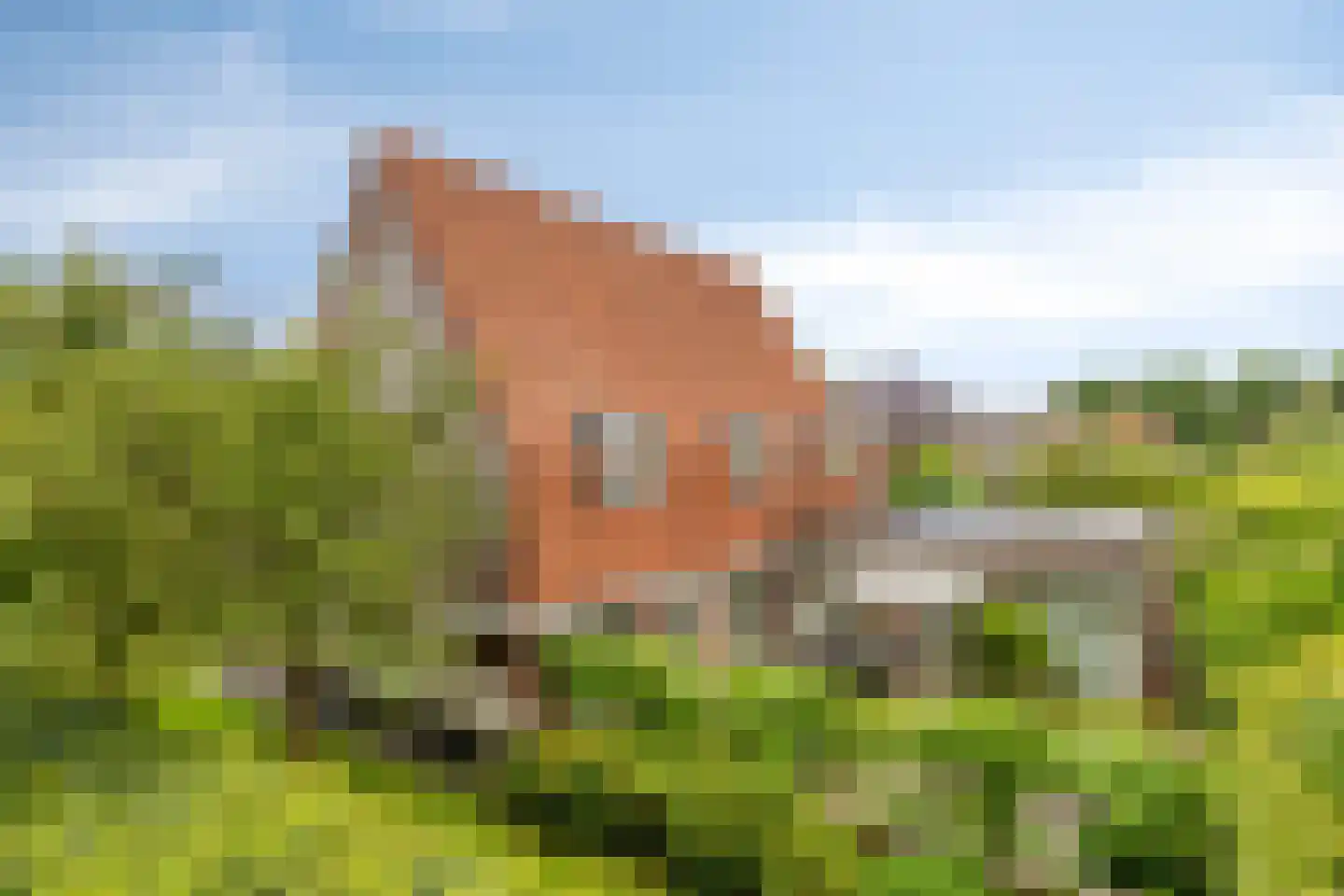 Lepelaar 91 Groningen thumbnail 45