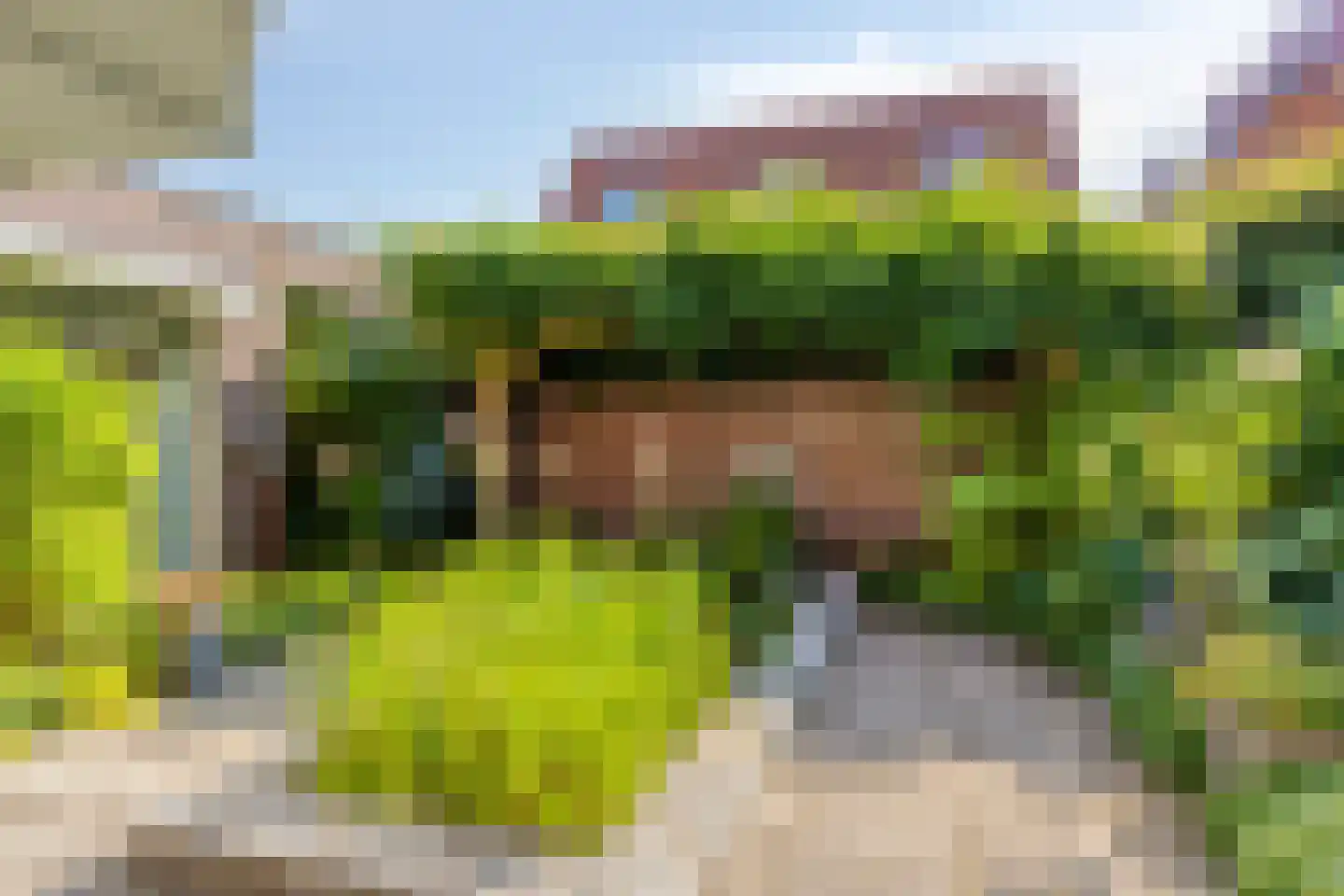 Lepelaar 91 Groningen thumbnail 47