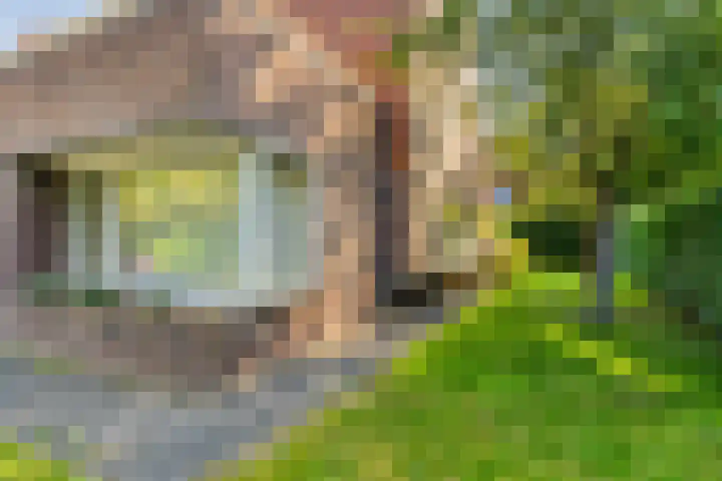 Lepelaar 91 Groningen thumbnail 48